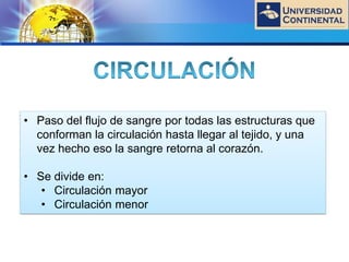 LOGO
• Paso del flujo de sangre por todas las estructuras que
conforman la circulación hasta llegar al tejido, y una
vez hecho eso la sangre retorna al corazón.
• Se divide en:
• Circulación mayor
• Circulación menor
 