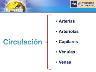 LOGO
• Arterias
• Arteriolas
• Capilares
• Vénulas
• Venas
 