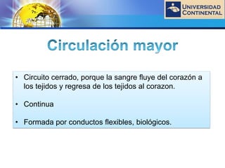 LOGO
• Circuito cerrado, porque la sangre fluye del corazón a
los tejidos y regresa de los tejidos al corazon.
• Continua
• Formada por conductos flexibles, biológicos.
 