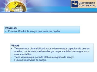 LOGO
VÉNULAS:
• Función: Confluir la sangre que viene del capilar
VENAS:
• Tienen mayor distensibilidad y por lo tanto mayor capacitancia que las
arterias; por lo tanto pueden albergar mayor cantidad de sangre y son
más adaptables.
• Tiene válvulas que permite el flujo retrógrado de sangre.
• Función: reservorio de sangre
 