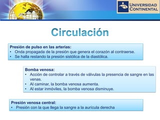 LOGO
Presión de pulso en las arterias:
• Onda propagada de la presión que genera el corazón al contraerse.
• Se halla restando la presión sistólica de la diastólica.
Bomba venosa:
• Acción de controlar a través de válvulas la presencia de sangre en las
venas.
• Al caminar, la bomba venosa aumenta.
• Al estar inmóviles, la bomba venosa disminuye.
Presión venosa central:
• Presión con la que llega la sangre a la aurícula derecha
 