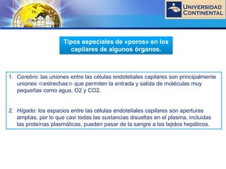 LOGO
1. Cerebro: las uniones entre las células endoteliales capilares son principalmente
uniones ≪estrechas≫ que permiten la entrada y salida de moléculas muy
pequeñas como agua, O2 y CO2.
2. Hígado: los espacios entre las células endoteliales capilares son aperturas
amplias, por lo que casi todas las sustancias disueltas en el plasma, incluidas
las proteínas plasmáticas, pueden pasar de la sangre a los tejidos hepáticos.
Tipos especiales de «poros» en los
capilares de algunos órganos.
 