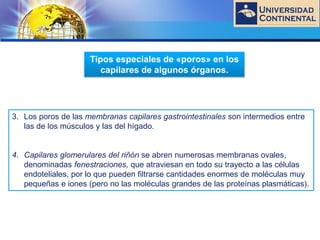 LOGO
3. Los poros de las membranas capilares gastrointestinales son intermedios entre
las de los músculos y las del hígado.
4. Capilares glomerulares del riñón se abren numerosas membranas ovales,
denominadas fenestraciones, que atraviesan en todo su trayecto a las células
endoteliales, por lo que pueden filtrarse cantidades enormes de moléculas muy
pequeñas e iones (pero no las moléculas grandes de las proteínas plasmáticas).
Tipos especiales de «poros» en los
capilares de algunos órganos.
 