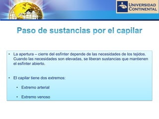 LOGO
• La apertura – cierre del esfínter depende de las necesidades de los tejidos.
Cuando las necesidades son elevadas, se liberan sustancias que mantienen
el esfínter abierto.
• El capilar tiene dos extremos:
• Extremo arterial
• Extremo venoso
 