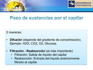 LOGO
2 maneras:
• Difusión (depende del gradiente de concentración).
Ejemplo: H2O, CO2, O2, Glucosa.
• Filtración - Reabsorción (el más importante)
• Filtración: Salida de líquido del capilar
• Reabsorción: Entrada del líquido anteriormente
filtrado al capilar.
 