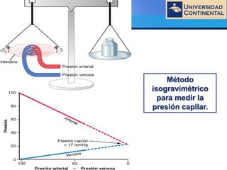 LOGO
Método
isogravimétrico
para medir la
presión capilar.
 