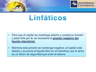 LOGO
• Para que el capilar se mantenga abierto y cumpla su función
y pase linfa por él, es necesaria la presión negativa del
líquido intersticial.
• Mientras esta presión se mantenga negativa, el capilar está
abierto y succiona el líquido libre en el intersticio; por lo tanto,
es un factor de seguridad que evita el edema.
 