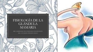 FISIOLOGÍA DE LA
GLÁNDULA
MAMARIA
DRA. ESMERALDA TECUANHUEHUE PAULINO R1GO
DRA. LUZ MARÍA HINOJOSA MAGO
 