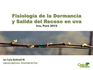 Ian Carlo Bottinelli W.
Ingeniero Agrónomo Universidad de Chile
 