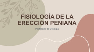 FISIOLOGÍA DE LA
ERECCIÓN PENIANA
Postgrado de Urología
 