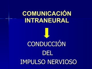 COMUNICACIÓN INTRANEURAL CONDUCCIÓN  DEL  IMPULSO NERVIOSO 