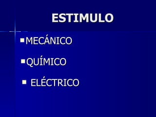 ESTIMULO MECÁNICO QUÍMICO ELÉCTRICO 
