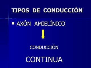 TIPOS  DE  CONDUCCIÓN AXÓN  AMIELÍNICO CONDUCCIÓN CONTINUA 