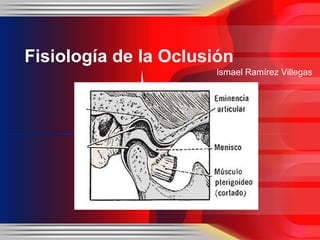 Fisiología de la Oclusión
Ismael Ramírez Villegas

 
