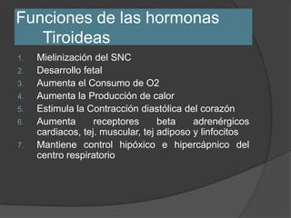 Funciones de las hormonas
Tiroideas
1. Mielinización del SNC
2. Desarrollo fetal
3. Aumenta el Consumo de O2
4. Aumenta la Producción de calor
5. Estimula la Contracción diastólica del corazón
6. Aumenta receptores beta adrenérgicos
cardiacos, tej. muscular, tej adiposo y linfocitos
7. Mantiene control hipóxico e hipercápnico del
centro respiratorio
 