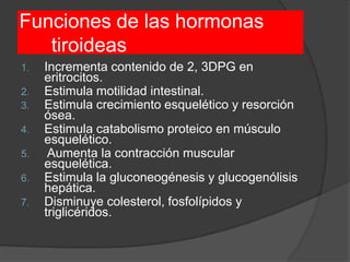Funciones de las hormonas
tiroideas
1. Incrementa contenido de 2, 3DPG en
eritrocitos.
2. Estimula motilidad intestinal.
3. Estimula crecimiento esquelético y resorción
ósea.
4. Estimula catabolismo proteico en músculo
esquelético.
5. Aumenta la contracción muscular
esquelética.
6. Estimula la gluconeogénesis y glucogenólisis
hepática.
7. Disminuye colesterol, fosfolípidos y
triglicéridos.
 