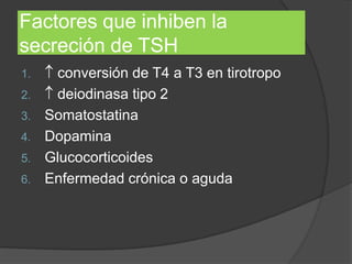 Factores que inhiben la
secreción de TSH
1. conversión de T4 a T3 en tirotropo
2. deiodinasa tipo 2
3. Somatostatina
4. Dopamina
5. Glucocorticoides
6. Enfermedad crónica o aguda
 