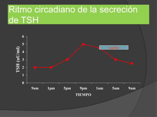 Ritmo circadiano de la secreción
de TSH
0
1
2
3
4
5
6
9am 1pm 5pm 9pm 1am 5am 9am
TIEMPO
TSH(uU/ml)
sueño
 