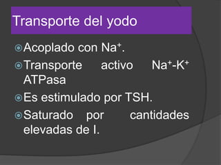 Transporte del yodo
Acoplado con Na+.
Transporte activo Na+-K+
ATPasa
Es estimulado por TSH.
Saturado por cantidades
elevadas de I.
 