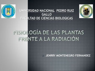  JENRRY MONTENEGRO FERNANDEZ
UNIVERSIDAD NACIONAL PEDRO RUIZ
GALLO
FACULTAD DE CIENCIAS BIOLOGICAS
 