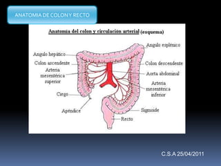 ANATOMIA DE COLONY RECTO
C.S.A 25/04/2011
 