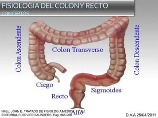 D.V.A 25/04/2011
FISIOLOGIADELCOLONYRECTO
CONCEPTOS
HALL. JOHN E. TRATADO DE FISIOLOGIA MEDICA. 11ª Ed.
EDITORIAL ELSEVIER SAUNDERS. Pag. 865-906
 
