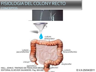 D.V.A 25/04/2011
FISIOLOGIADELCOLONYRECTO
CONCEPTOS
HALL. JOHN E. TRATADO DE FISIOLOGIA MEDICA. 11ª Ed.
EDITORIAL ELSEVIER SAUNDERS. Pag. 865-906
 