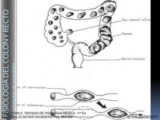 D.V.A 25/04/2011
FISIOLOGIADELCOLONYRECTO
Movimientosdepropulsión
HALL. JOHN E. TRATADO DE FISIOLOGIA MEDICA. 11ª Ed.
EDITORIAL ELSEVIER SAUNDERS. Pag. 865-906
 