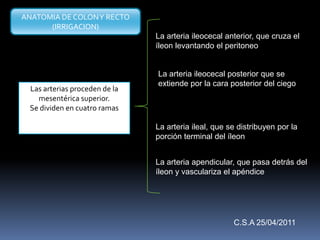 Las arterias proceden de la
mesentérica superior.
Se dividen en cuatro ramas
La arteria ileocecal anterior, que cruza el
íleon levantando el peritoneo
La arteria ileocecal posterior que se
extiende por la cara posterior del ciego
La arteria ileal, que se distribuyen por la
porción terminal del íleon
La arteria apendicular, que pasa detrás del
íleon y vasculariza el apéndice
ANATOMIA DE COLONY RECTO
(IRRIGACION)
C.S.A 25/04/2011
 