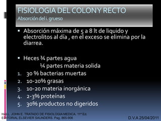  Absorción máxima de 5 a 8 lt de liquido y
electrolitos al día , en el exceso se elimina por la
diarrea.
 Heces ¾ partes agua
¼ partes materia solida
1. 30 % bacterias muertas
2. 10-20% grasas
3. 10-20 materia inorgánica
4. 2-3% proteínas
5. 30% productos no digeridos
D.V.A 25/04/2011
FISIOLOGIADELCOLONYRECTO
Absorcióndeli.grueso
HALL. JOHN E. TRATADO DE FISIOLOGIA MEDICA. 11ª Ed.
EDITORIAL ELSEVIER SAUNDERS. Pag. 865-906
 