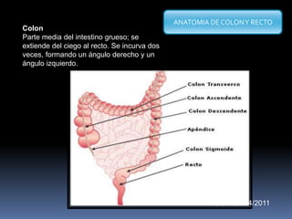 Colon
Parte media del intestino grueso; se
extiende del ciego al recto. Se incurva dos
veces, formando un ángulo derecho y un
ángulo izquierdo.
ANATOMIA DE COLONY RECTO
C.S.A 25/04/2011
 