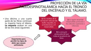 PROYECCIÓN DE LA VÍA
PALEOESPINOTALÁMICA HACIA EL TRONCO
DEL ENCÉFALO Y EL TÁLAMO.
• Una décima a una cuarta
parte de las fibras continúan
su trayecto hacia el tálamo.
La mayoría acaban en una
de las tres áreas siguientes:
1) los núcleos de la
formación reticular del
bulbo raquídeo, la
protuberancia y el
mesencéfalo
2) la región tectal del
mesencéfalo profunda a
los colículos superiores e
inferiores
3) la zona gris
periacueductal que
rodea al acueducto de
SilvioImportantes para
percibir los tipos de
dolor que causan
sufrimiento
 