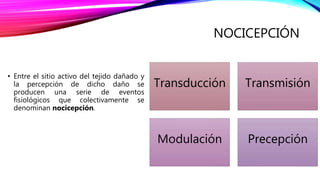 NOCICEPCIÓN
• Entre el sitio activo del tejido dañado y
la percepción de dicho daño se
producen una serie de eventos
fisiológicos que colectivamente se
denominan nocicepción.
Transducción Transmisión
Modulación Precepción
 