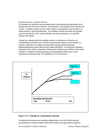 Reclutamiento de Unidades Motoras
La frecuencia de utilización de una unidad motora esta directamente relacionada con el
tamaño del soma de la moto-neurona. Generalmente, a más pequeño soma más fácil de
reclutar. Unidades motoras con los somas celulares mas péquenos como las tipo I, se
usaran primero y más frecuentemente. Las unidades motoras con somas más grandes
como las del tipo II a y II b, serán reclutadas con menos frecuencia y se requerirá
ejercicio más intenso.

A pesar de su denominación las unidades motoras se reclutan no en función a la
velocidad del movimiento sino a la fuerza necesaria para realizar ese movimiento (i.e.,
tensión). Individuos con capaces de desarrollar una gran potencia muscular
predominantemente poseen fibras de tipo rápido-glicolítico. Los músculos resistentes y
posturales de los cuales se requieren contracciones continuas son de fibras de tipo lento-
oxidativas. Podemos encontrar humanos con porcentajes de fibras tipo I en los
músculos de las piernas entre 70% (fondistas) y 35% (velocistas).




                                                                       Tipo II b


                                                                         Tipo II a
        %
      Fibras




                   Intensidad del Ejercicio
                    Baja            Media                           Alta




Figura 1.2.2. Principio de reclutamiento ordenado

Si solamente tuviésemos que considerar adaptaciones al nivel de la fibra muscular
aconsejaríamos a nuestros atletas realizar movimientos con carga máxima aunque la
Universidad de Castilla la Mancha                                   Comité Olímpico Español
 