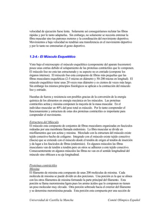 velocidad de ejecución fuese lenta. Solamente así conseguiríamos reclutar las fibras
rápidas y por lo tanto adaptarlas. Sin embargo, no solamente se necesita entrenar la
fibra muscular sino los patrones motores y la coordinación del movimiento deportivo.
Movimientos a baja velocidad no tendrían una transferencia en el movimiento deportivo
y por lo tanto no entrenarían el gesto deportivo.


1.2-4.- El Músculo Esquelético

Visto bajo el microscopio el músculo esquelético (componente del aparato locomotor)
posee unas estrías debido al solapamiento de las proteínas contráctiles que lo componen.
El músculo liso no esta tan estructurado y su aspecto no es estriado (compone los
órganos internos). El músculo liso esta compuesto de fibras más pequeñas que las
fibras musculares esqueléticas (2-5 micras en diámetro y 50-200 micras en longitud). El
músculo esquelético tiene unas 20 veces mas diámetro y es cientos de veces más largo.
Sin embargo los mismos principios fisiológicos se aplican a la contracción del músculo
liso y estriado.

Hazañas de fuerza y resistencia son posibles gracias de la conversión de la energía
química de los alimentos en energía mecánica en los músculos. Las proteínas
contráctiles actina y miosina componen la mayoría de la masa muscular. En el
individuo muscular un 40% del peso total es músculo. Por lo tanto comprender el
funcionamiento y estructura de estas dos proteínas contráctiles es importante para
comprender el movimiento.

Estructura del Músculo
El músculo esta compuesto de conjuntos de fibras musculares organizadas en fascículos
rodeadas por una membrana llamada endomisio. La fibra muscular se divide en
miofilamentos que son actina y miosina. Mezclado con la estructura del músculo existe
tejido conectivo hecho de colágeno. Integrado con el músculo existe tejido conectivo
(fascia) que se extiende con el músculo desde el tendón de origen al tendón de inserción
y da lugar a los fascículos de fibras (endomisio). En algunos músculos las fibras
musculares van de tendón a tendón pero en otros se adhieren a este tejido conectivo.
Consecuentemente en algunos músculos las fibras no van en el sentido longitudinal del
músculo sino oblicuos a su eje longitudinal.


Proteínas contráctiles
Miosina
El filamento de miosina esta compuesto de unas 200 moléculas de miosina. Cada
molécula de miosina se puede dividir en dos porciones. Una porción es la que se alinea
con los otros filamentos de miosina formando la parte principal del filamento. Esta
porción se llama meromiosina ligera pues los amino ácidos que lo componen no tienen
un peso molecular muy elevado. Otra porción sobresale hacia el exterior del filamento
y se denomina meromiosina pesada. Esta porción esta compuesta por una sección de


Universidad de Castilla la Mancha                                  Comité Olímpico Español
 