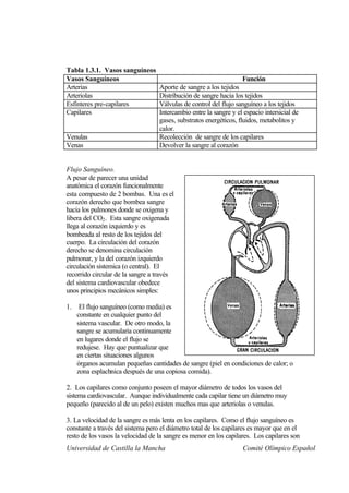 Tabla 1.3.1. Vasos sanguíneos
Vasos Sanguíneos                                                   Función
Arterias                           Aporte de sangre a los tejidos
Arteriolas                         Distribución de sangre hacia los tejidos
Esfínteres pre-capilares           Válvulas de control del flujo sanguíneo a los tejidos
Capilares                          Intercambio entre la sangre y el espacio intersicial de
                                   gases, substratos energéticos, fluidos, metabolitos y
                                   calor.
Venulas                            Recolección de sangre de los capilares
Venas                              Devolver la sangre al corazón


Flujo Sanguíneo.
A pesar de parecer una unidad
anatómica el corazón funcionalmente
esta compuesto de 2 bombas. Una es el
corazón derecho que bombea sangre
hacia los pulmones donde se oxigena y
libera del CO2 . Esta sangre oxigenada
llega al corazón izquierdo y es
bombeada al resto de los tejidos del
cuerpo. La circulación del corazón
derecho se denomina circulación
pulmonar, y la del corazón izquierdo
circulación sistemica (o central). El
recorrido circular de la sangre a través
del sistema cardiovascular obedece
unos principios mecánicos simples:

1.    El flujo sanguíneo (como media) es
     constante en cualquier punto del
     sistema vascular. De otro modo, la
     sangre se acumularía continuamente
     en lugares donde el flujo se
     redujese. Hay que puntualizar que
     en ciertas situaciones algunos
     órganos acumulan pequeñas cantidades de sangre (piel en condiciones de calor; o
     zona esplachnica después de una copiosa comida).

2. Los capilares como conjunto poseen el mayor diámetro de todos los vasos del
sistema cardiovascular. Aunque individualmente cada capilar tiene un diámetro muy
pequeño (parecido al de un pelo) existen muchos mas que arteriolas o venulas.

3. La velocidad de la sangre es más lenta en los capilares. Como el flujo sanguíneo es
constante a través del sistema pero el diámetro total de los capilares es mayor que en el
resto de los vasos la velocidad de la sangre es menor en los capilares. Los capilares son
Universidad de Castilla la Mancha                                   Comité Olímpico Español
 