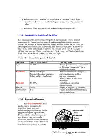 D) Células musculares. Impulsos electro-químicos se transmiten a través de sus
          membranas. Posees unas miofibrillas largas que se deslizan solapándose entre
          ellas.

      E) Células del riñón. Tejido conectivo, tubos renales y células epiteliales.


   1.1.3.- Composición Química de la Célula

   Los siguientes son los componentes principales de nuestras células y por lo tanto de
   nuestro cuerpo. En este cuadro se esta refiriendo a una célula promedio en nuestro
   cuerpo. Sin embargo en nuestro organismo pueden proliferar mas un tipo de células que
   otras dependiendo del uso que le demos (i.e., mas músculo o mas grasa). El cuerpo de
   una persona adulta sana que realice ejercicio esta formado por un 60% de fluido, un
   40% de masa muscular (fluido y proteínas), un 15% de grasa, y un 2% de carbohidratos.
   En la célula promedio estas proporciones son como sigue:

   Tabla 1.1.1 : Composición química de la célula

Sustancia         % de la masa celular                     Función y Tipos
Agua              70-85 %                                  Permite que substancias se encuentren
                                                           en disolución y suspensión y que se
                                                           difundan rápidamente
Electrolitos      Disueltos en el agua                     Permiten la transmisión de impulsos
                  Potasio, sodio, cloro, magnesio,         electro-químicos en las fibras
                  fosfato, sulfato y bicarbonato           nerviosas y musculares
                                                           Rigen actividad de reacciones
                                                           enzimáticas
Proteínas         10-20 %                                  Estructurales y Enzimáticas
                                                           (nucleoproteinas)
Lípidos           2-3 %                                    Simples, Compuestos y Esteroides
Carbohidrato      1%                                       Función estructural (membranas) y de
                                                           nutrición (glucógeno)


   1.1.4.- Organeles Celulares

           Las células eucariotas, de las
   cuales estamos compuestos los
   mamíferos tienen estructuras
   delimitadas (organeles) con una función
   (pequeñas maquinas especializadas).
   Nuestras células están delimitadas por
   una "frontera" exterior que es la
   membrana plasmática y otra interior que
   es la que contiene el núcleo. El espacio
   Universidad de Castilla la Mancha                                  Comité Olímpico Español
 