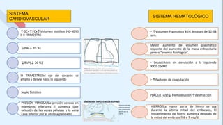 ↑GC=↑FCx↑Volumen sistólico (40-50%)
🡪 II TRIMESTRE
↓PA(↓ 35 %)
↓RVP(↓ 20 %)
III TRIMESTRE🡪el eje del corazón se
amplía y desvía hacia la izquierda
Soplo Sistólico
PRESIÓN VENOSA🡪La presión venosa en
miembros inferiores 🡪 aumenta (por
oclusión de las venas pélvicas y la vena
cava inferior por el útero agrandado)
• ↑Volumen Plasmático 45% después de 32-34
sem.
Mayor aumento de volumen plasmático
respecto del aumento de la masa eritrocitaria
genera “anemia fisiológica”.
• Leucocitosis sin desviación a la izquierda
9000-15000
• ↑Factores de coagulación
PLAQUETAS🡪↓ Hemodilución ↑destrucción
HIERRO🡪La mayor parte de hierro se usa
durante la última mitad del embarazo, El
requerimiento de hierro aumenta después de
la mitad del embrazo 🡪 6 a 7 mg/d.
SISTEMA
CARDIOVASCULAR
SISTEMA HEMATOLÓGICO
 