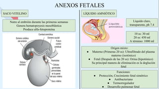 ANEXOS FETALES
SACO VITELINO LÍQUIDO AMNIÓTICO
Líquido claro,
transparente, ph 7.4
10 ss: 30 ml
20 ss: 450 ml
A término: 1000 ml
Origen mixto:
● Materno (Primeras 20 ss): Ultrafiltrado del plasma
materno (isotónico)
● Fetal (Después de las 20 ss): Orina (hipotónico)
Su principal manera de eliminación es la deglución
fetal
Funciones:
● Protección, Crecimiento fetal simétrico
● Antibacteriano
● Termorregulador
● Desarrollo pulmonar fetal
Nutre al embrión durante las primeras semanas
Genera hematopoyesis mesoblástica
Produce alfa-fetoproteína
 