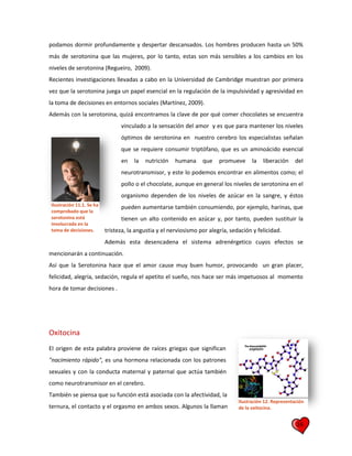 16
podamos dormir profundamente y despertar descansados. Los hombres producen hasta un 50%
más de serotonina que las mujeres, por lo tanto, estas son más sensibles a los cambios en los
niveles de serotonina (Regueiro, 2009).
Recientes investigaciones llevadas a cabo en la Universidad de Cambridge muestran por primera
vez que la serotonina juega un papel esencial en la regulación de la impulsividad y agresividad en
la toma de decisiones en entornos sociales (Martínez, 2009).
Además con la serotonina, quizá encontramos la clave de por qué comer chocolates se encuentra
vinculado a la sensación del amor y es que para mantener los niveles
óptimos de serotonina en nuestro cerebro los especialistas señalan
que se requiere consumir triptófano, que es un aminoácido esencial
en la nutrición humana que promueve la liberación del
neurotransmisor, y este lo podemos encontrar en alimentos como; el
pollo o el chocolate, aunque en general los niveles de serotonina en el
organismo dependen de los niveles de azúcar en la sangre, y éstos
pueden aumentarse también consumiendo, por ejemplo, harinas, que
tienen un alto contenido en azúcar y, por tanto, pueden sustituir la
tristeza, la angustia y el nerviosismo por alegría, sedación y felicidad.
Además esta desencadena el sistema adrenérgetico cuyos efectos se
mencionarán a continuación.
Así que la Serotonina hace que el amor cause muy buen humor, provocando un gran placer,
felicidad, alegría, sedación, regula el apetito el sueño, nos hace ser más impetuosos al momento
hora de tomar decisiones .
Oxitocina
El origen de esta palabra proviene de raíces griegas que significan
"nacimiento rápido", es una hormona relacionada con los patrones
sexuales y con la conducta maternal y paternal que actúa también
como neurotransmisor en el cerebro.
También se piensa que su función está asociada con la afectividad, la
ternura, el contacto y el orgasmo en ambos sexos. Algunos la llaman
Ilustración 11.1. Se ha
comprobado que la
serotonina está
involucrada en la
toma de decisiones.
Ilustración 12. Representación
de la oxitocina.
 