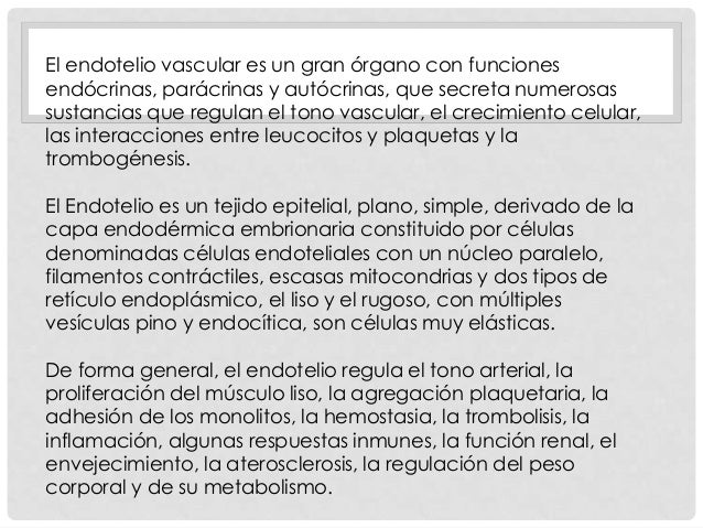 Fisiología del endotelio.