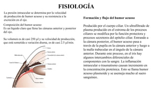 Composición del humor acuoso
Es un líquido claro que llena las cámaras anterior y posterior
del ojo.
Su volumen es de casi 250 µl y su velocidad de producción,
que está sometida a variación diurna, es de casi 2.5 µl/min.
FISIOLOGÍA
La presión intraocular se determina por la velocidad
de producción de humor acuoso y su resistencia a la
excreción en el ojo.
Formación y flujo del humor acuoso
Producido por el cuerpo ciliar. Un ultrafiltrado de
plasma producido en el estroma de los procesos
ciliares se modifica por la función protectora y
procesos secretores del epitelio ciliar. Entrando a
la cámara posterior, el humor acuoso pasa a
través de la pupila en la cámara anterior y luego a
la malla trabecular en el ángulo de la cámara
anterior. Durante este proceso, en el iris hay
algunos intercambios diferenciales de
componentes con la sangre. La inflamación
intraocular o traumatismo causan incremento en
la concentración proteínica. Esto se llama humor
acuoso plasmoide y se asemeja mucho al suero
sanguíneo.
 