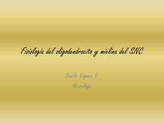 Fisiología del oligodendrocito y mielina del SNC
Basilio Vagner R
Neurólogo
 
