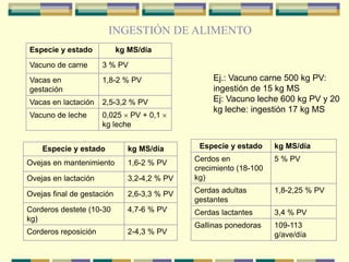 Especie y estado kg MS/día
Ovejas en mantenimiento 1,6-2 % PV
Ovejas en lactación 3,2-4,2 % PV
Ovejas final de gestación 2,6-3,3 % PV
Corderos destete (10-30
kg)
4,7-6 % PV
Corderos reposición 2-4,3 % PV
Especie y estado kg MS/día
Cerdos en
crecimiento (18-100
kg)
5 % PV
Cerdas adultas
gestantes
1,8-2,25 % PV
Cerdas lactantes 3,4 % PV
Gallinas ponedoras 109-113
g/ave/día
Especie y estado kg MS/día
Vacuno de carne 3 % PV
Vacas en
gestación
1,8-2 % PV
Vacas en lactación 2,5-3,2 % PV
Vacuno de leche 0,025  PV + 0,1 
kg leche
Ej.: Vacuno carne 500 kg PV:
ingestión de 15 kg MS
Ej: Vacuno leche 600 kg PV y 20
kg leche: ingestión 17 kg MS
INGESTIÓN DE ALIMENTO
 