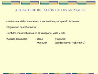 •Involucra al sistema nervioso, a los sentidos y al aparato locomotor
•Regulación neurohormonal
•Sentidos más implicados en el transporte: vista y oído
•Aparato locomotor: - Óseo (fracturas)
- Muscular (calidad carne: PSE y DFD)
APARATO DE RELACIÓN DE LOS ANIMALES
 