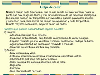 Nombre común de la hipertermia, que es una subida del calor corporal hasta tal
punto que hay riesgo de daños y mal funcionamiento de los procesos fisiológicos.
Sus efectos pueden ser temporales o irreversibles, pueden provocar la muerte,
y dependen para cada animal del tiempo de exposición y de la temperatura.
Cuanto mayores sean estos, mayores serán los daños.
Factores que pueden desencadenar el golpe de calor:
a) Entorno:
- Altas temperaturas en el exterior.
- Humedad ambiental alta, que dificulta la eliminación de vapor de agua.
- Espacio reducido y/o mal ventilado: vehículo, contenedor, bodega de barco.
- Agua: poca cantidad, no fresca o no renovada a menudo.
- Carencia de sombra o sombra muy reducida.
b) Animal:
- Muy joven o muy viejo.
- Enfermo: insuficiencia cardiaca, insuficiencia respiratoria, estrés.
- Obesidad: la piel tiene más poder aislante.
- Color de capa: los oscuros absorben más el calor.
- Digestión.
- Ejercicio.
- Que el animal esté nervioso.
Golpe de calor
 