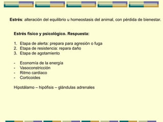 Estrés: alteración del equilibrio u homeostasis del animal, con pérdida de bienestar.
Estrés físico y psicológico. Respuesta:
1. Etapa de alerta: prepara para agresión o fuga
2. Etapa de resistencia: repara daño
3. Etapa de agotamiento
- Economía de la energía
- Vasoconstricción
- Ritmo cardiaco
- Corticoides
Hipotálamo – hipófisis – glándulas adrenales
 