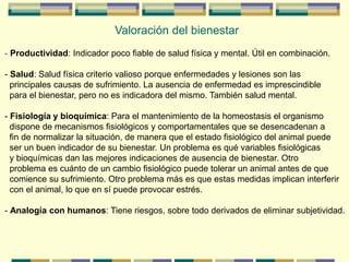 Valoración del bienestar
- Productividad: Indicador poco fiable de salud física y mental. Útil en combinación.
- Salud: Salud física criterio valioso porque enfermedades y lesiones son las
principales causas de sufrimiento. La ausencia de enfermedad es imprescindible
para el bienestar, pero no es indicadora del mismo. También salud mental.
- Fisiología y bioquímica: Para el mantenimiento de la homeostasis el organismo
dispone de mecanismos fisiológicos y comportamentales que se desencadenan a
fin de normalizar la situación, de manera que el estado fisiológico del animal puede
ser un buen indicador de su bienestar. Un problema es qué variables fisiológicas
y bioquímicas dan las mejores indicaciones de ausencia de bienestar. Otro
problema es cuánto de un cambio fisiológico puede tolerar un animal antes de que
comience su sufrimiento. Otro problema más es que estas medidas implican interferir
con el animal, lo que en sí puede provocar estrés.
- Analogía con humanos: Tiene riesgos, sobre todo derivados de eliminar subjetividad.
 