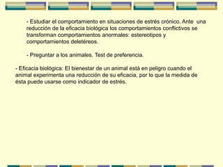 - Estudiar el comportamiento en situaciones de estrés crónico. Ante una
reducción de la eficacia biológica los comportamientos conflictivos se
transforman comportamientos anormales: estereotipos y
comportamientos deletéreos.
- Preguntar a los animales. Test de preferencia.
- Eficacia biológica: El bienestar de un animal está en peligro cuando el
animal experimenta una reducción de su eficacia, por lo que la medida de
ésta puede usarse como indicador de estrés.
 