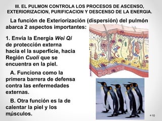 10
III. EL PULMON CONTROLA LOS PROCESOS DE ASCENSO,
EXTERIORIZACION, PURIFICACION Y DESCENSO DE LA ENERGIA.
La función de Exteriorización (dispersión) del pulmón
abarca 2 aspectos importantes:
1. Envía la Energía Wei Qi
de protección externa
hacia el la superficie, hacia
Región Cuoli que se
encuentra en la piel.
A. Funciona como la
primera barrera de defensa
contra las enfermedades
externas.
B. Otra función es la de
calentar la piel y los
músculos.
 